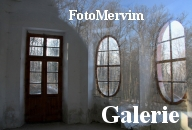 Gallery logo: Vaše fotografie na webu